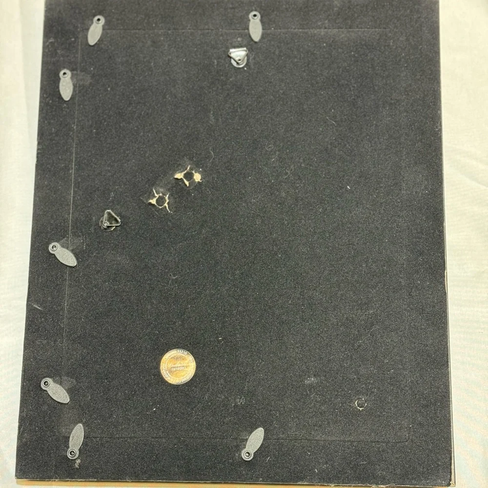 Picture - Picture 3 of 5